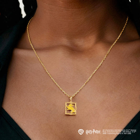 Gnoce Harry Potter Hufflepuff Badger Necklace_2