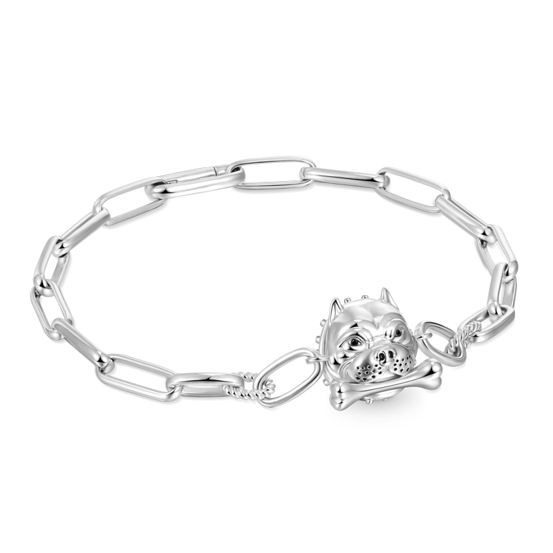 Gnoce Bully Element Link Chain Bracelet_1