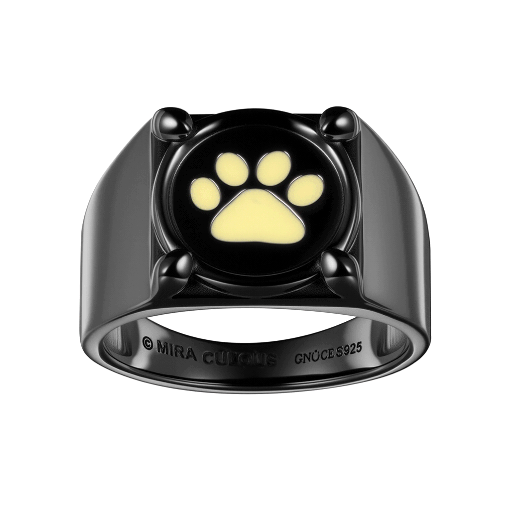 Gnoce Zag Heroez Miraculous - Cat Noir Glow-in-the-Dark Ring_1