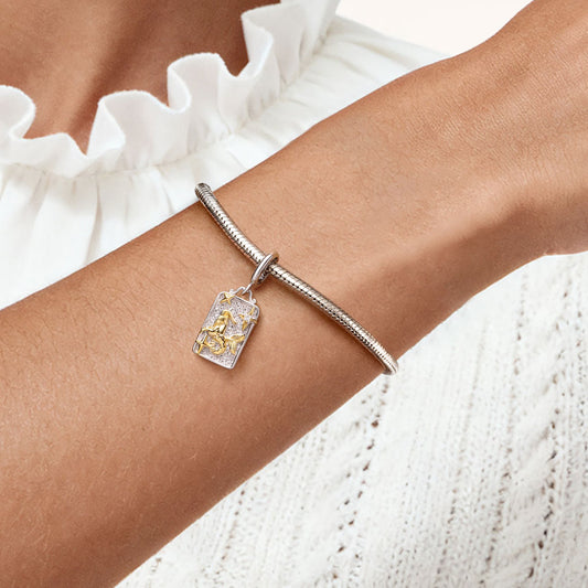 Gnoce Constellation Capricorn Pendant Dangle Charm_2