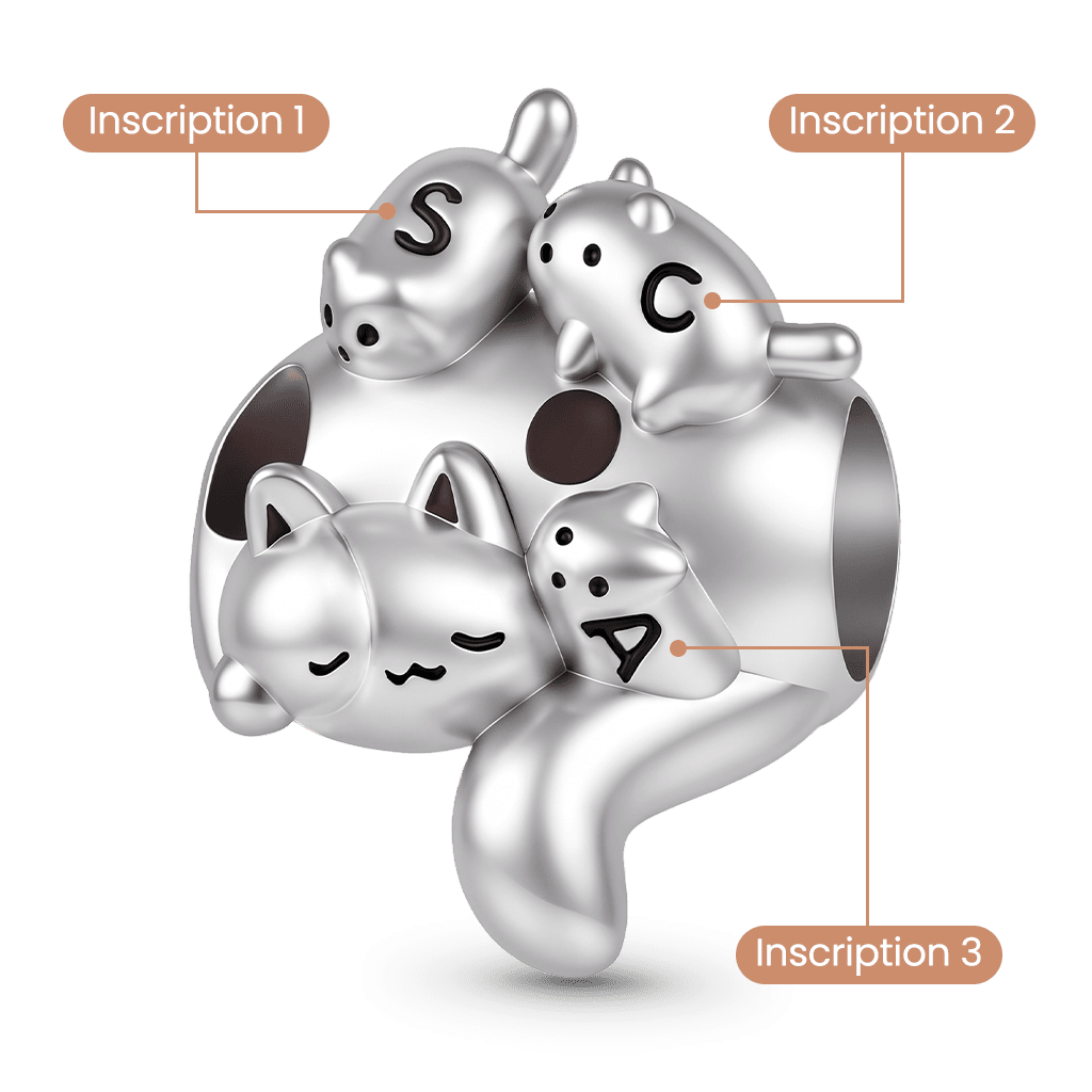 Gnoce Mother Cat & Kittens Engravable Charm Platinum-plated Silver Blend_2