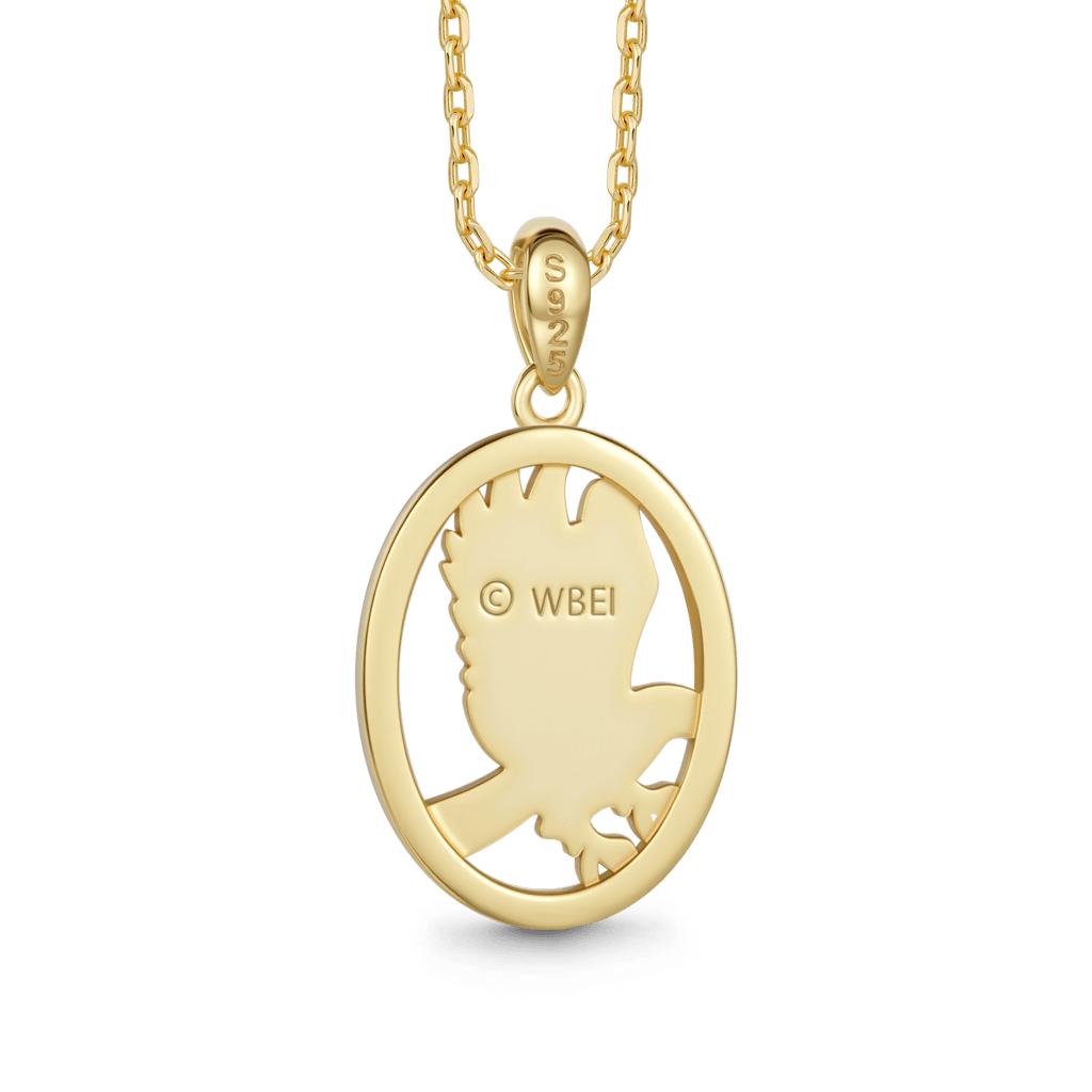 Gnoce Harry Potter Ravenclaw Eagle Necklace_4