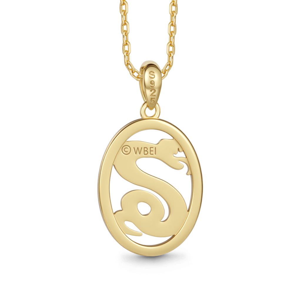 Gnoce Harry Potter Slytherin Snake Necklace_4