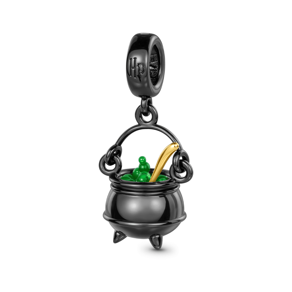 Gnoce Harry Potter Wizard Pot Pendant Dangle Charm_1