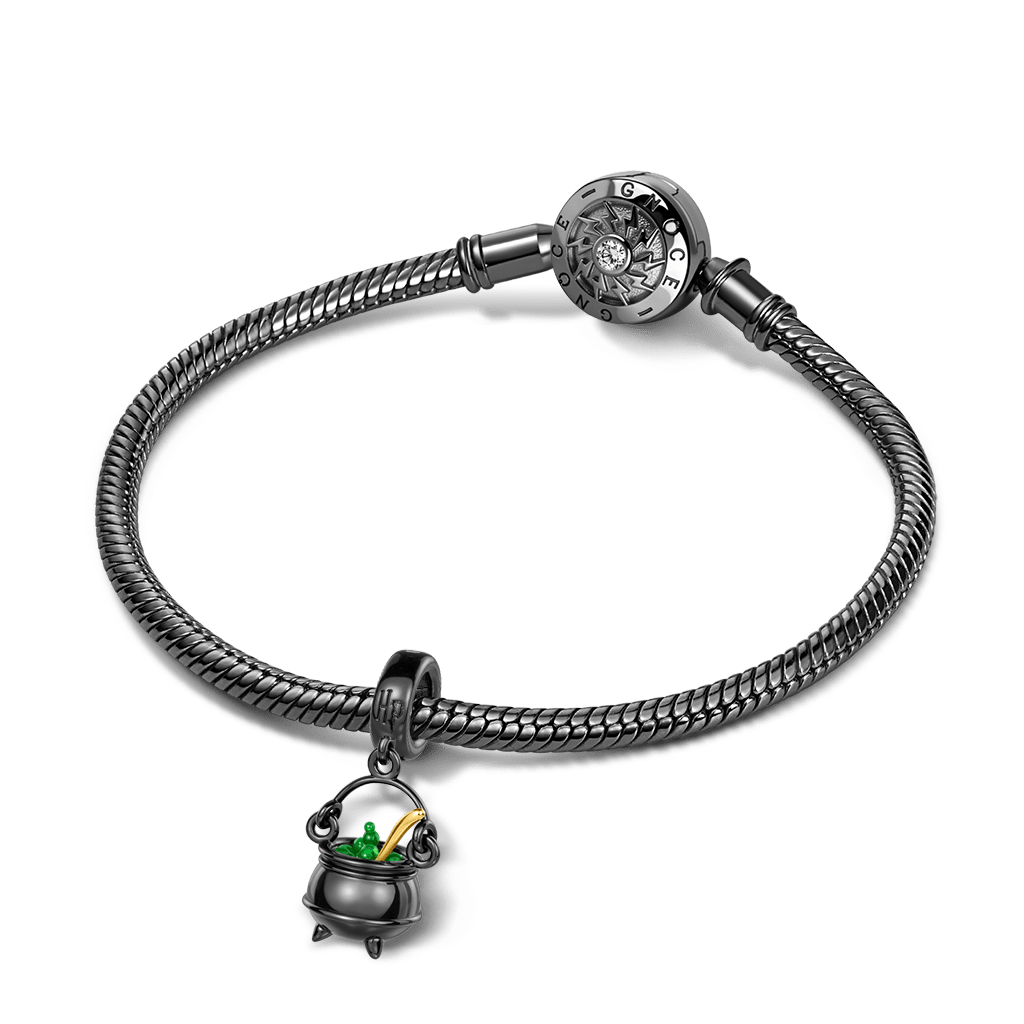 Gnoce Harry Potter Wizard Pot Pendant Dangle Charm_3