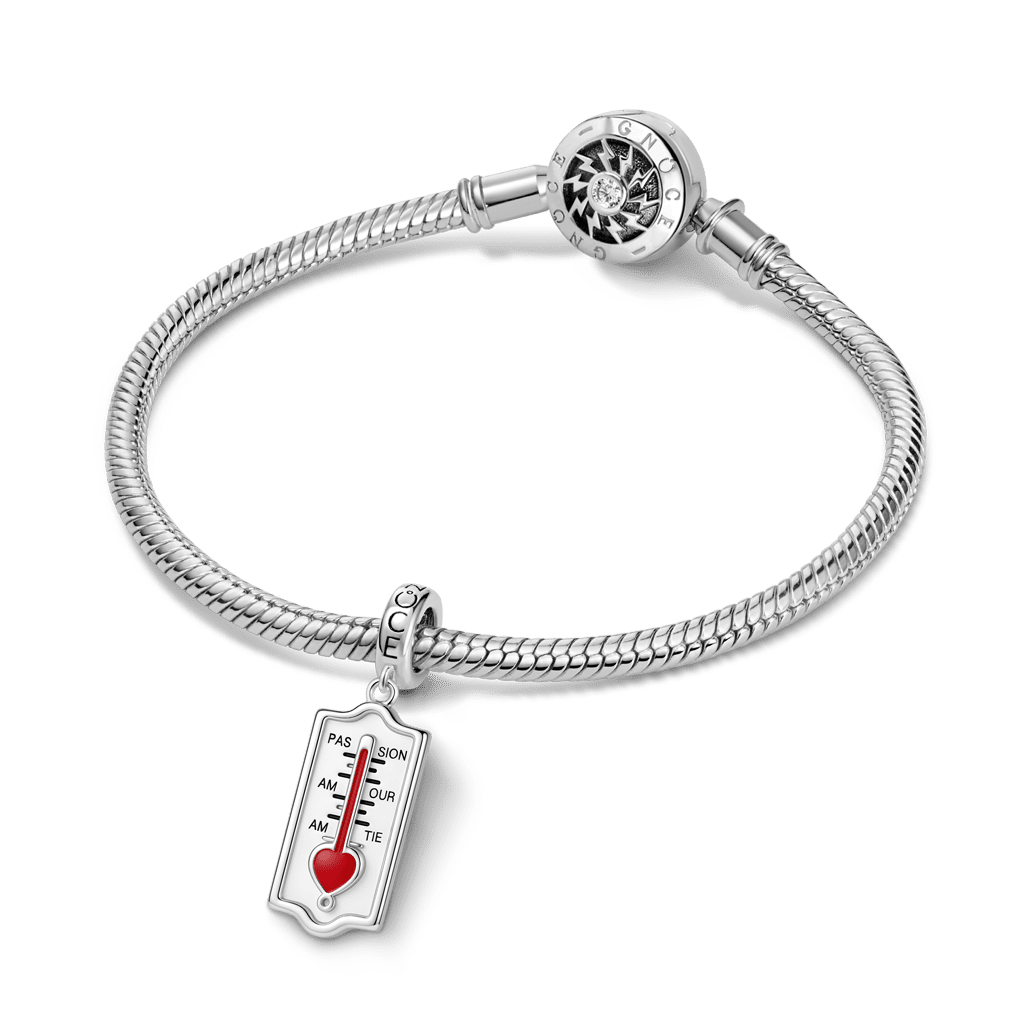 Gnoce Love Thermometer Charm Platinum-plated Silver Blend_3