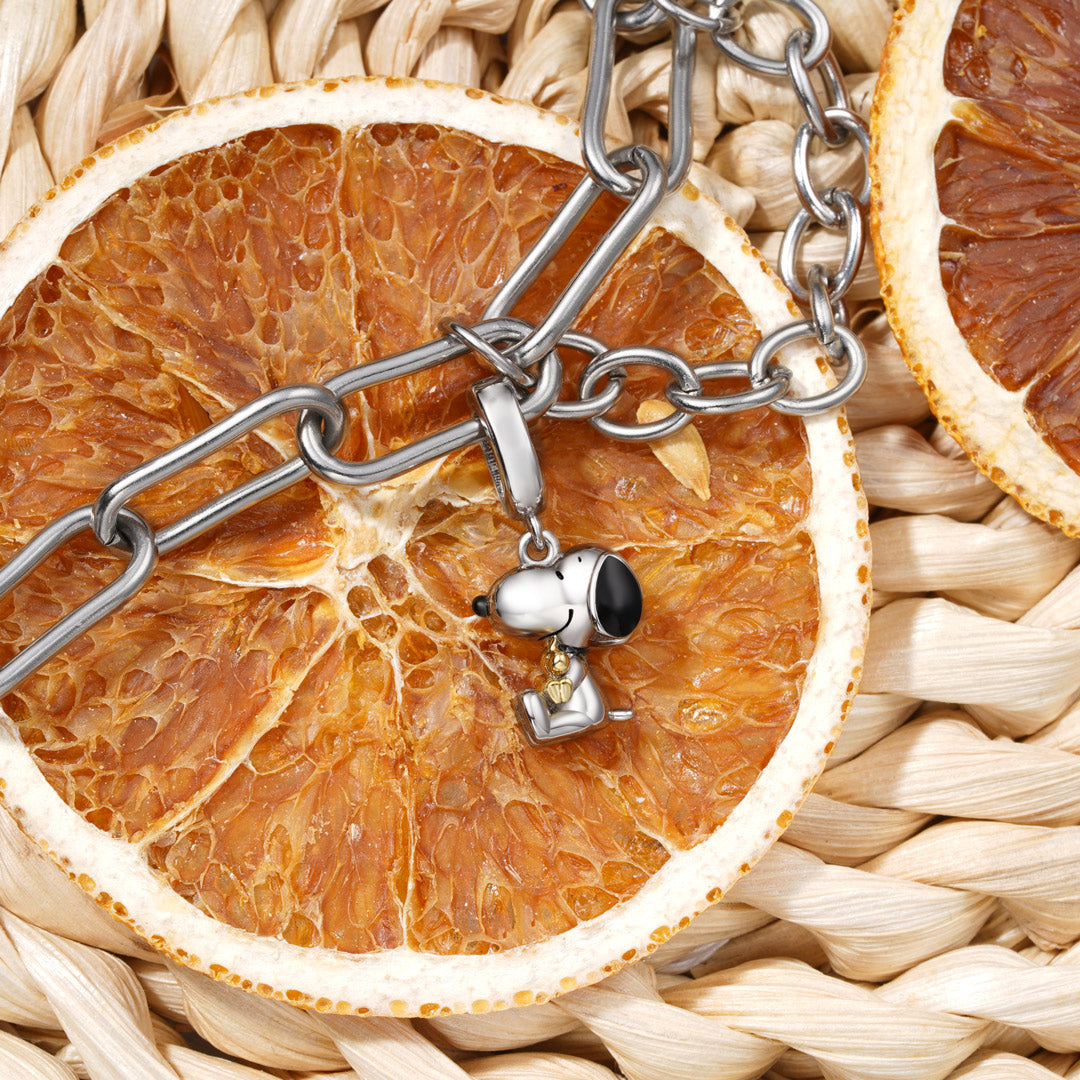 Gnoce Peanuts Snoopy & Woodstock Hugging Pendant Dangle Charm_3